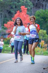 BIB: 8219, 8216
                            <button type="button" onclick="openModal(19241222)" class="btn btn-primary btn-sm float-right btn-popup" data-toggle="modal" data-target=".modal-high-quality">
                        <i class="fas fa-shopping-cart"></i> Add to Cart
                    </button>
                                            <button type="button" onclick="isThisMe(19241222, true)" class="btn btn-success btn-sm float-right btn-popup btn-isme hidden" data-toggle="tooltip" data-placement="bottom" title="นี่คือรูปของคุณใช่ไหม คลิกที่นี่เพื่อเอาเข้าอัลบั้ม">
                        <i class="fas fa-plus"></i> Add to album
                    </button>
                    <button type="button" onclick="isThisMe(19241222, false)" class="btn btn-warning btn-sm float-right btn-popup btn-isnotme hidden">
                        <i class="fas fa-ban"></i> Remove from album
                    </button>